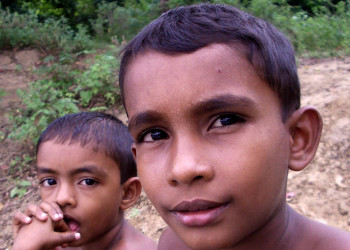 Дамбулла, Шри-Ланка, фото № 51060 – фотографии Шри-Ланки