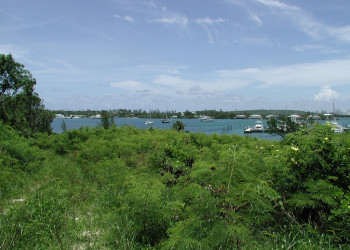 Природа на острове Абако, Багамские острова. Фото 4 – фотографии Багамских островов