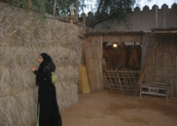 Абу-Даби, ОАЭ, фото № 60674 – фотографии ОАЭ