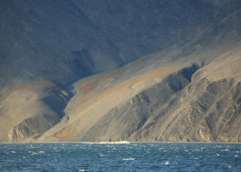 Остров Врангеля, Северный Ледовитый океан – фотографии России