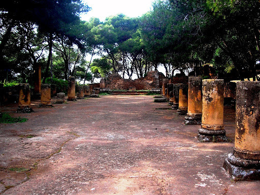 Забытая аллея. Типаса. Алжир. – фотографии Алжира