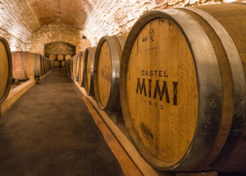 Замок Мими 7 – фотографии Молдовы