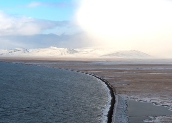 Остров Врангеля в Северном Ледовитом океане, Чукотка, Россия – фотографии России