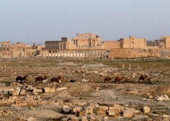 Древний город Пальмира (Сирия) – фотографии Сирии