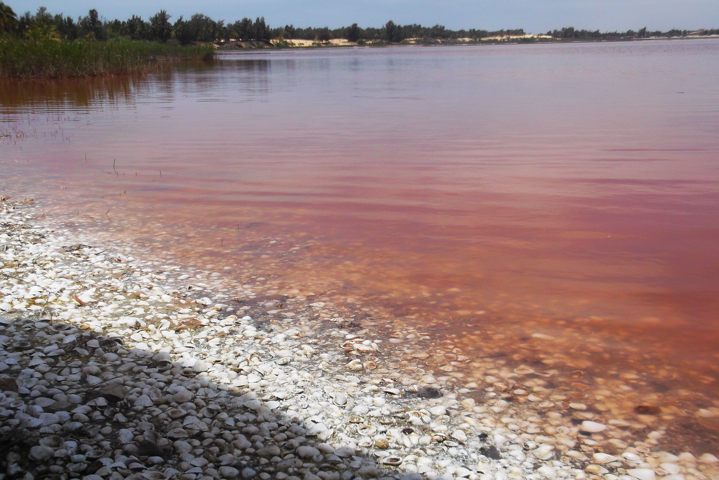 Солёное розовое озеро, Сенегал – фотографии Сенегала
