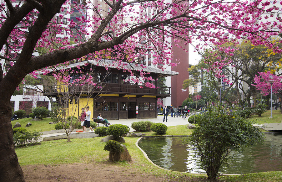 Японская площадь в Курибите – фотографии Бразилии