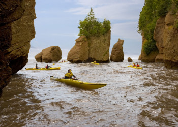 Хоупэлл Рокс Парк, Бухта Фанди, Канада – фотографии Канады