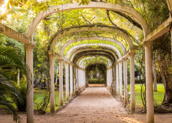 Ботанический сад Рио-де-Жане был определён в качестве биосферного заповедника ЮНЕСКО в 1992 году – фотографии Бразилии