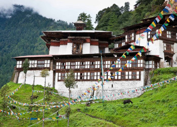 Монастырь Чагри (Chagri Monastery), Бутан – фотографии Бутана