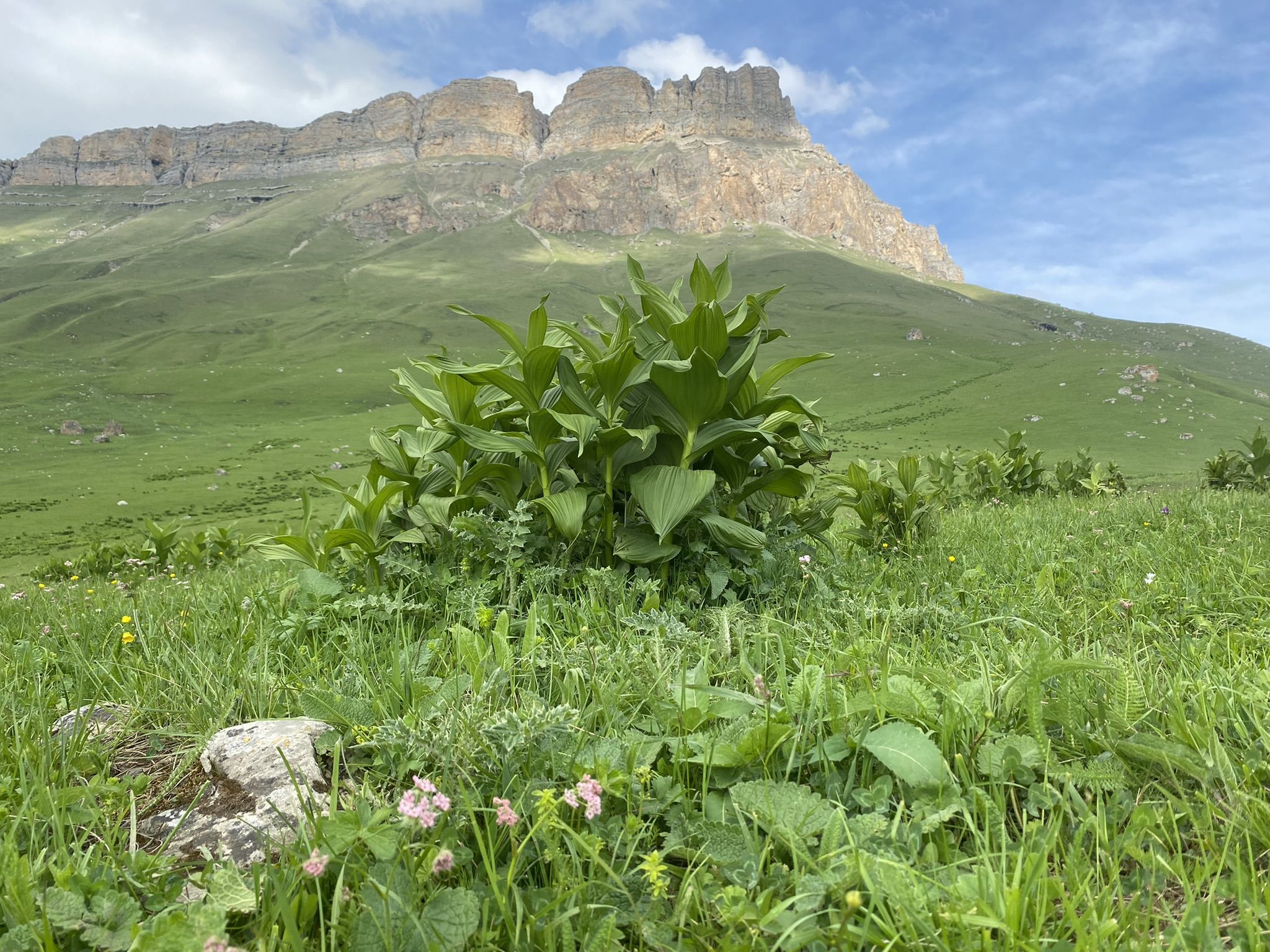 Горные пейзажи перевала Актопрак в Кабардино-Балкарии, июнь 2022 – фотографии России