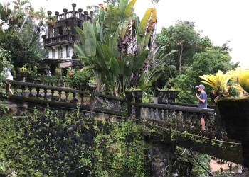 Приключенческий парк Паронелла (Paronella Park) в Австралии – фотографии Австралии
