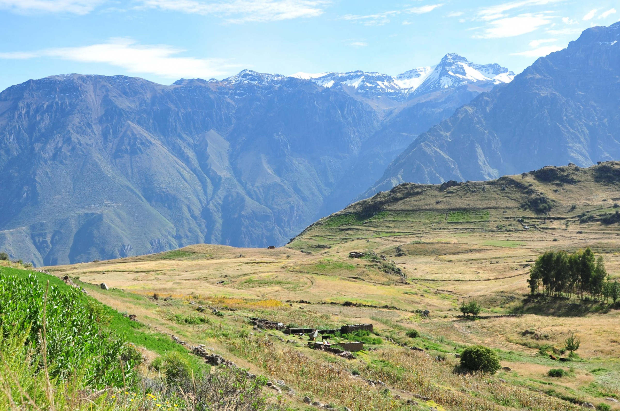 Каньон Колка (Valle del Colca) или Каньон Колька – фотографии Перу