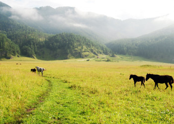 Природа Алтая, Россия – фотографии России