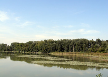 Донау-Ауэн (Donau-Auen) или Пойма Дуная – фотографии Австрии