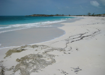 Пляж на острове Эксума, Багамские острова. Фото 4 – фотографии Багамских островов
