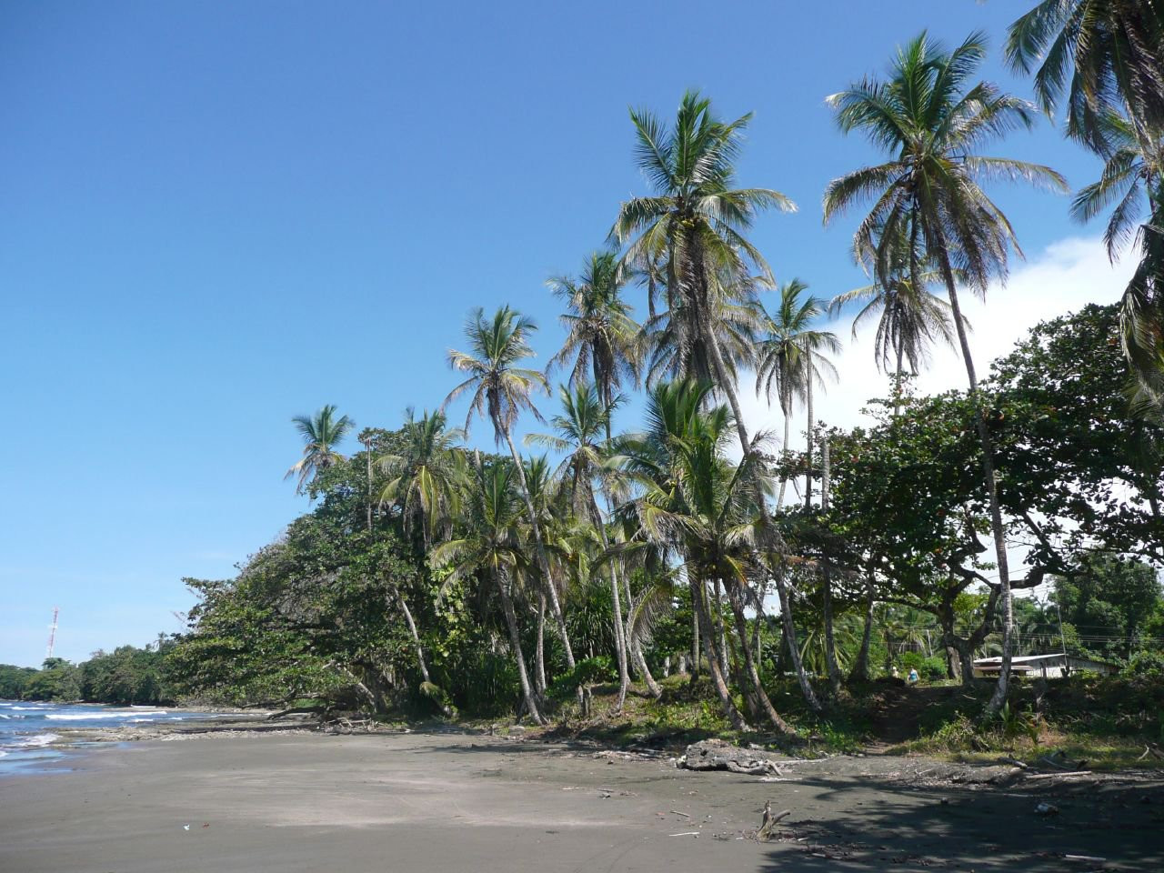 Кауита, Лимон провинция, Коста-Рика, фото № 40049 – фотографии Коста-Рики