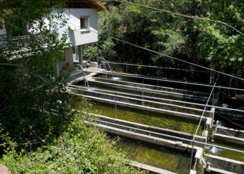 Платрес, Кипр, фото № 38723 – фотографии Кипра