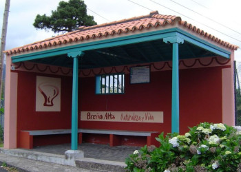 Брения-Альта, Ла-Пальма остров, Канарские острова, фото № 31815 – фотографии Канарских островов