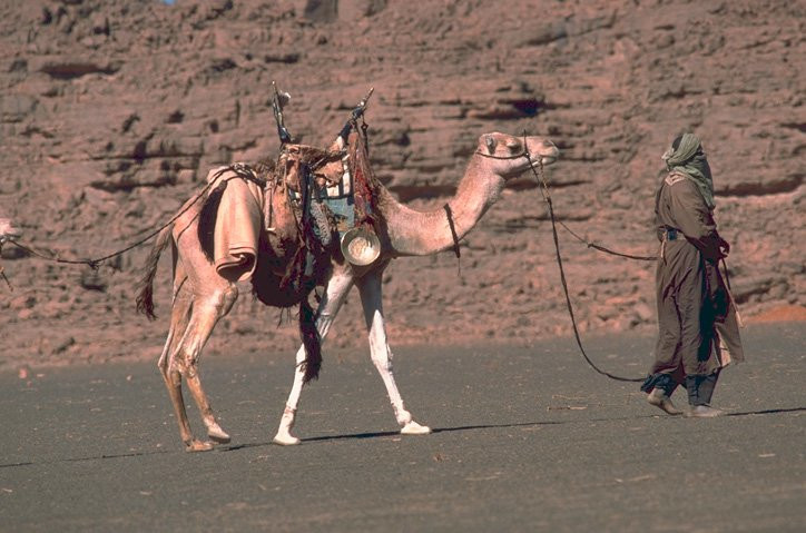 Каир, Египет, фото № 35007 – фотографии Египта