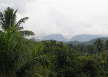 Ратнапура, Шри-Ланка, фото № 52205 – фотографии Шри-Ланки