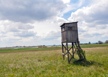 Наблюдательная площадка за птицами в парке Нойзидлерзе-Зевинкель – фотографии Австрии
