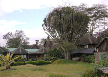 Лодж – фотографии Кении