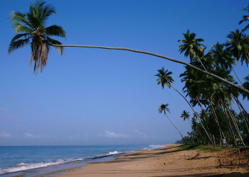 Коcгода, Шри-Ланка, фото № 51504 – фотографии Шри-Ланки