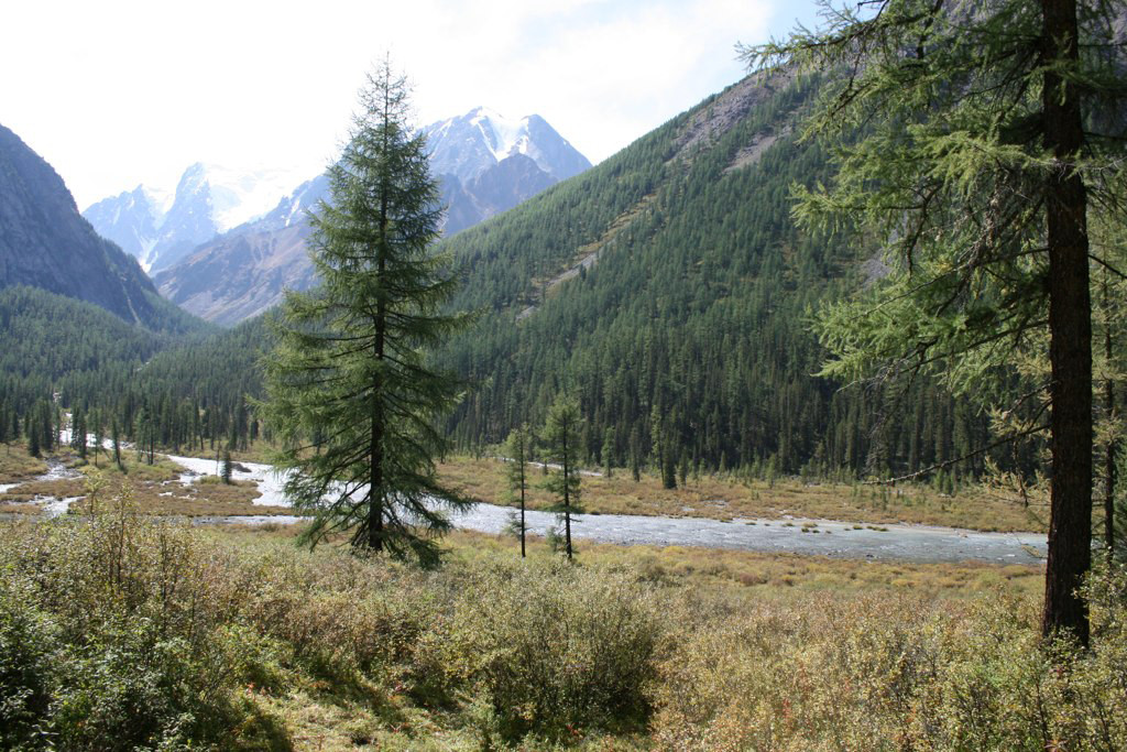 Природа Алтая. Фото 1 – фотографии России