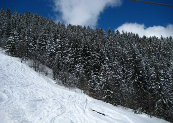 Природа в Брид-ле-Бэн, Франция – фотографии Франции