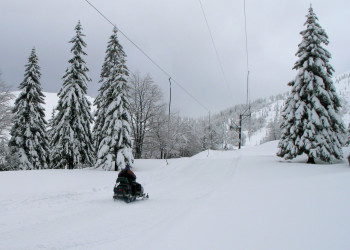 Соришка Планина, Словения, фото № 57562 – фотографии Словении