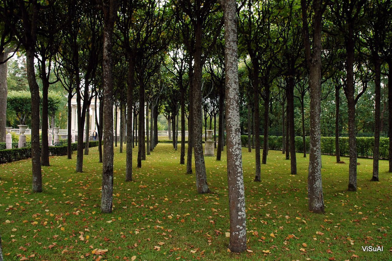 Парк в Павловске, Россия. Фото 11 – фотографии России