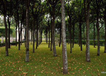 Парк в Павловске, Россия. Фото 11 – фотографии России