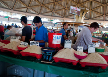 Ташкент, Узбекистан. Фото 3 – фотографии Узбекистана