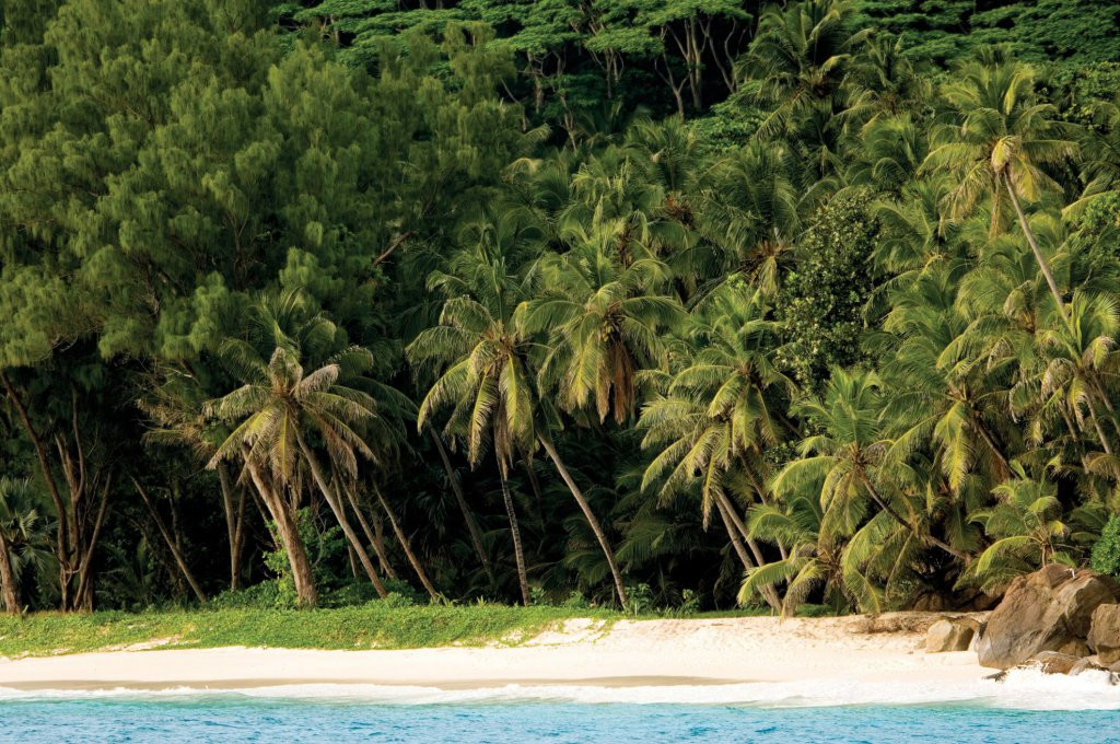 Природа острова на острове Норт, Сейшелы – фотографии Сейшельских островов