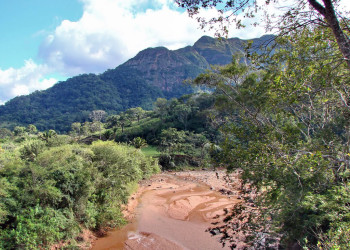 Национальный парк Амборо в Боливии – фотографии Боливии