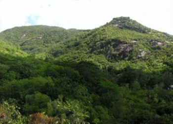 Природа на острове Маэ, Сейшелы – фотографии Сейшельских островов