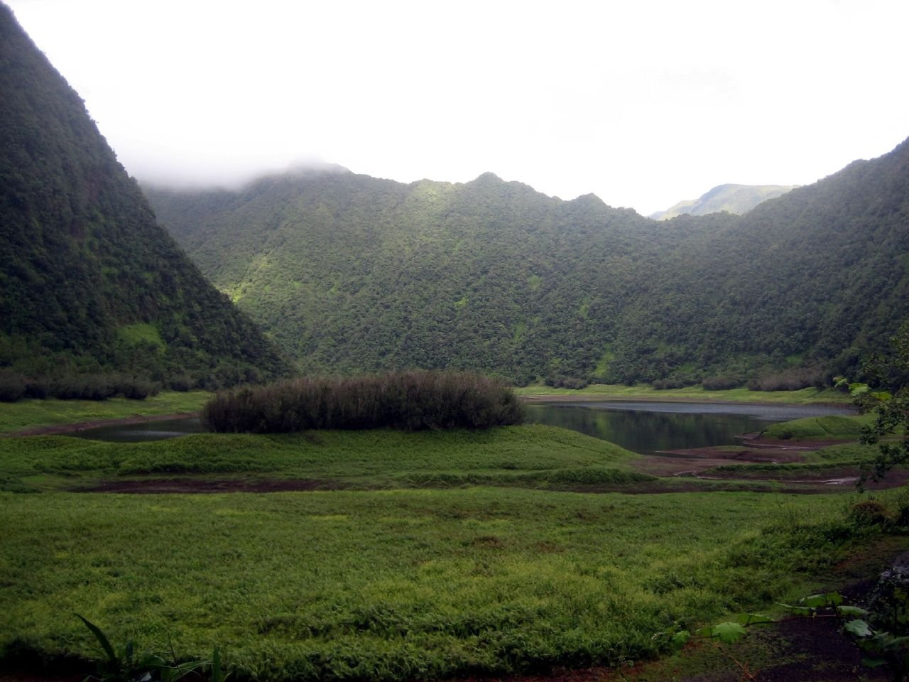 Сен-Бенуа, Реюньон, фото № 25892 – фотографии Реюньона