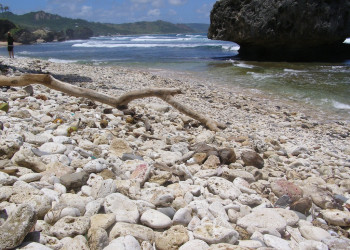 Берега в Батшиба, Барбадос. Фото 8 – фотографии Барбадоса