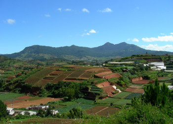 Поля в окрестностях Далата – фотографии Вьетнама