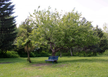 Парк в Банкя, Болгария – фотографии Болгарии