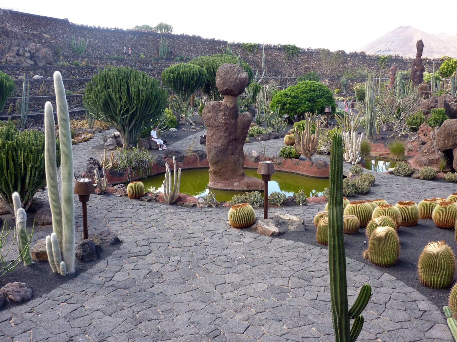 Кактусовый сад (Jardin de Cactus) на острове Лансароте – фотографии Канарских островов