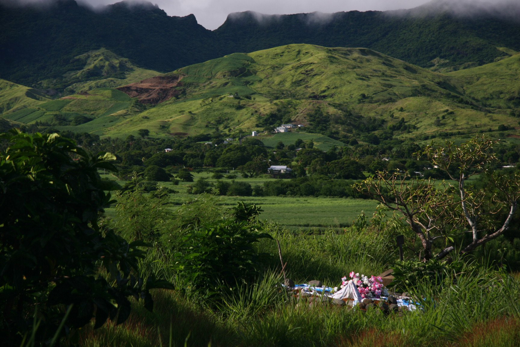 Саншайн Коаст, Вити Леву остров, Вити Леву группа островов, Фиджи, фото № 49606 – фотографии Фиджи