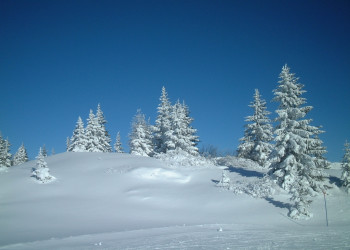 Пейзаж в Лез-Уш, Франция – фотографии Франции