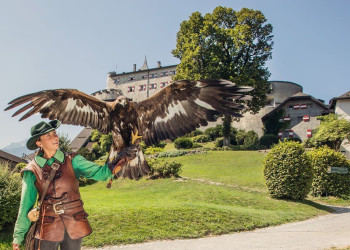 Замок Хоэнверфен 7 – фотографии Австрии