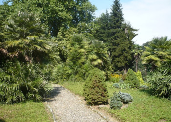 Зелёный Мыс, Грузия, фото № 73453 – фотографии Грузии