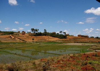 Мадагаскар, фото № 2195 – фотографии Мадагаскара