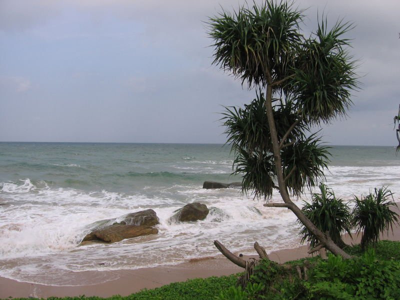 Матара, Шри-Ланка, фото № 51730 – фотографии Шри-Ланки