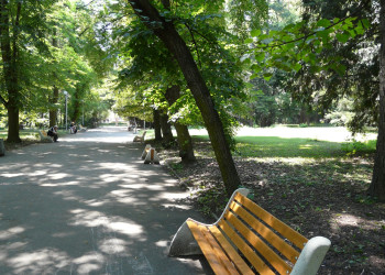 Парк в Банкя, Болгария. Фото 3 – фотографии Болгарии