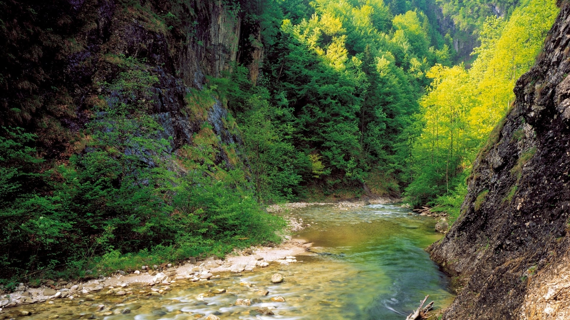 Горная река. Калькальпен. Австрия – фотографии Австрии