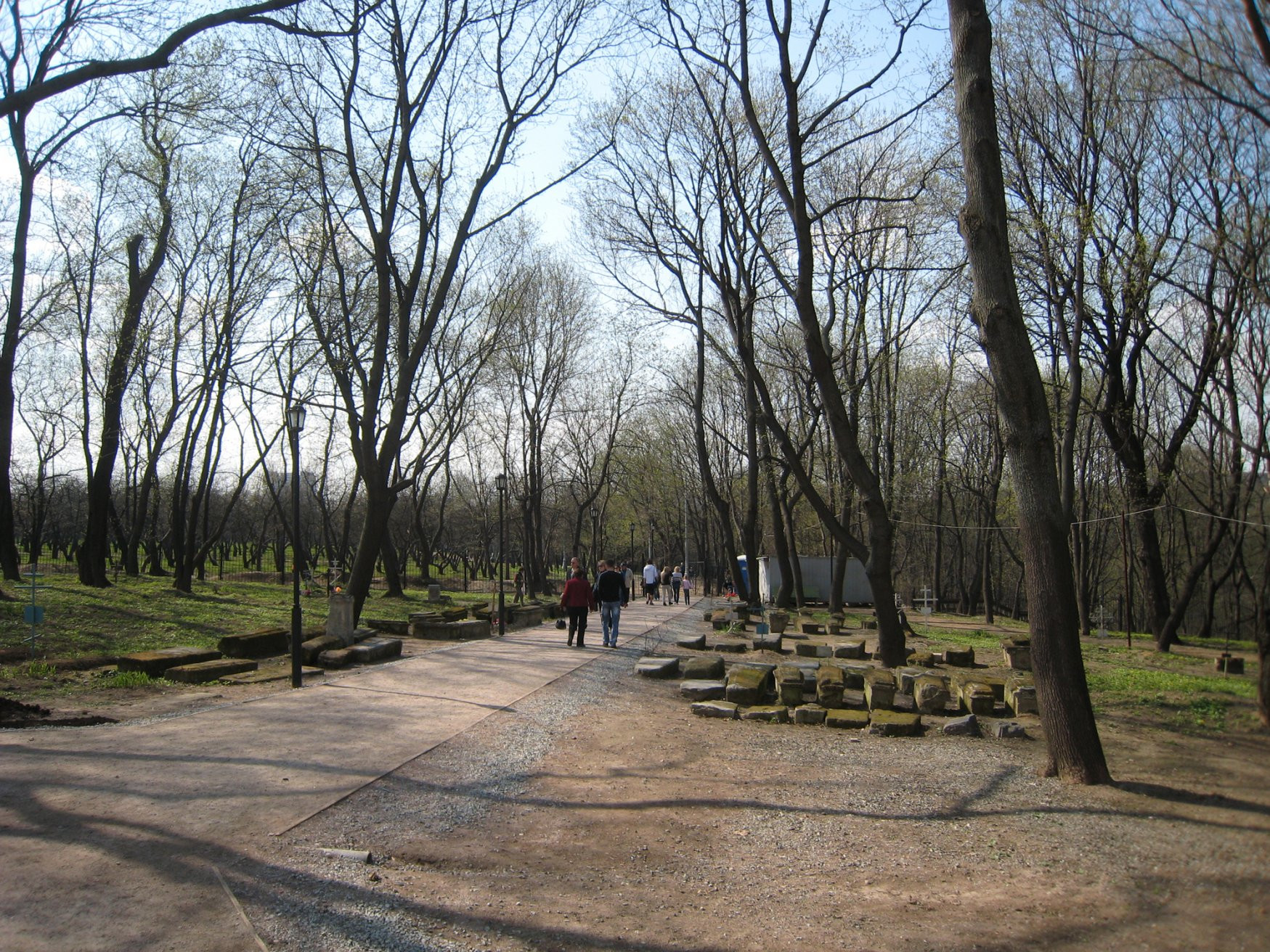 Парк Коломенское – фотографии России